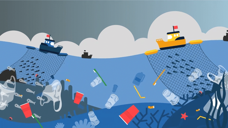 Animation Motion Design Illustré Unesco